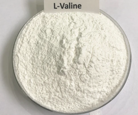What Is L Valine? What Is L Valine?